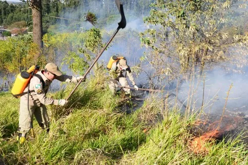 Bombeiros combatem incêndio ambiental em Apucarana - dano à vegetação - Foto - Delair Garcia