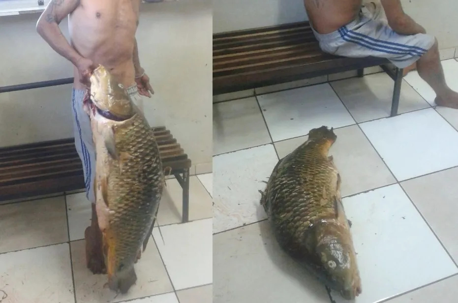 Homem foi flagrado com um carpa de 18,8 kg pescada em área de preservação ambiental - Foto: Divulgação