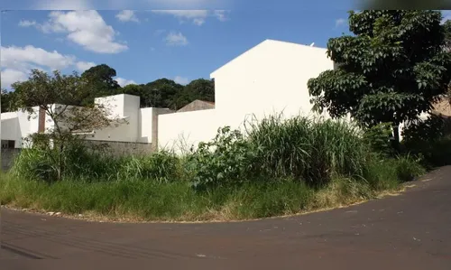 Mais de 400 donos de terrenos são notificados em Arapongas por falta de limpeza