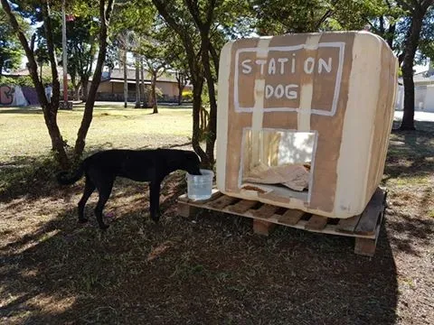 Station Dog -abrigo do frio e da chuva disponibilizado por grupo de amigos para animais de rua - Foto -  Grupo Corrente Solidária