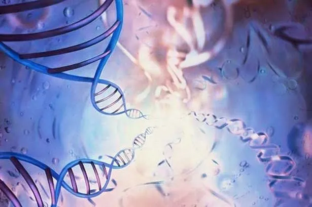 Cientistas acreditam que sintetizar genomas pode possibilitar melhor entendimento da vida - ​ Foto: Getty Images