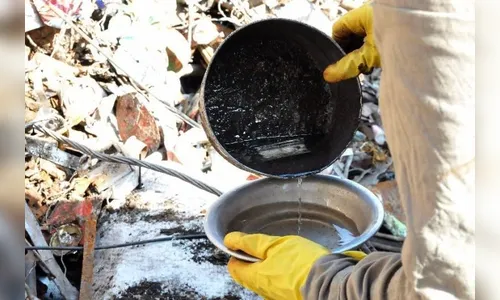 Município do interior reduz casos de dengue em 75%