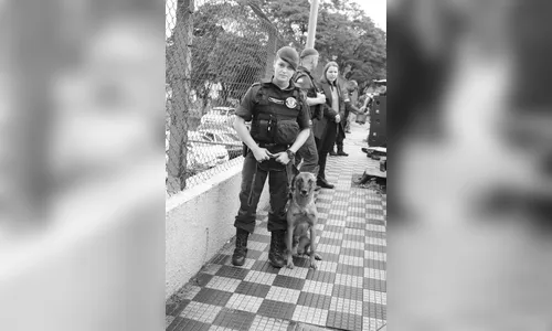 Guarda Municipal de Arapongas participa de treinamento em SP