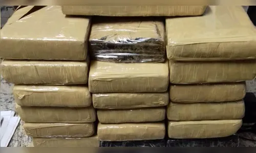 Menor apreendido com 15 kg de maconha iria entregar droga em Arapongas