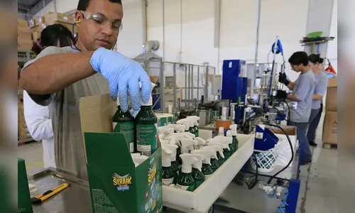 Microempresas do PR lideram em geração de empregos  