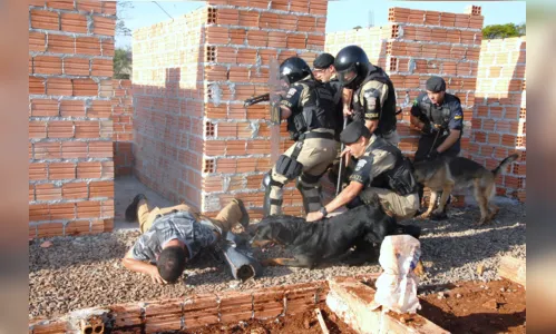 
							Cão farejador ajuda polícia a encontrar droga em Arapongas
						
						