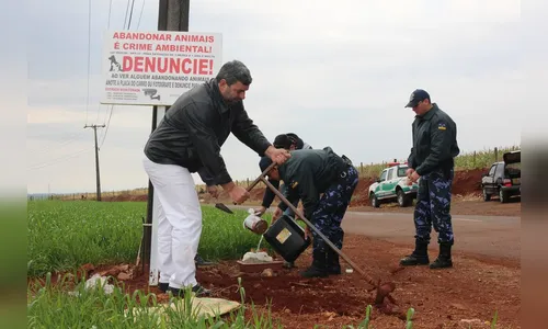 Grupo de Defesa Ambiental faz campanha contra abandono de animais em Arapongas