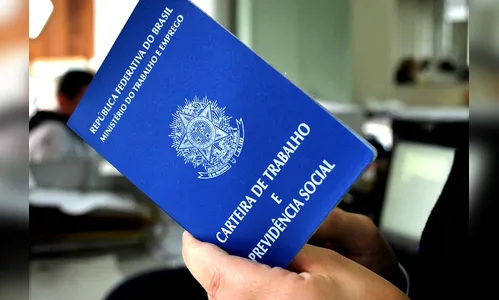 Agência de Apucarana oferece 96 vagas 