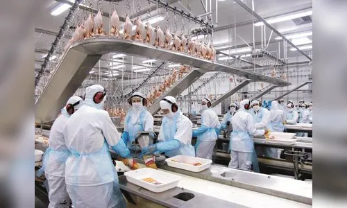 Saída do Reino Unido da UE poderá beneficiar mercado avícola 