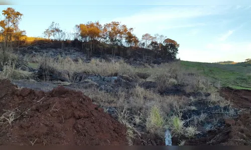 Administrador de fazenda e operador de trator são presos por crime ambiental