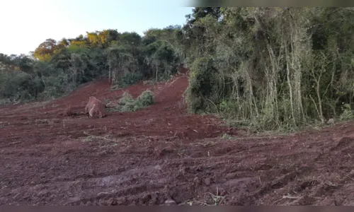 
							Administrador de fazenda e operador de trator são presos por crime ambiental
						
						