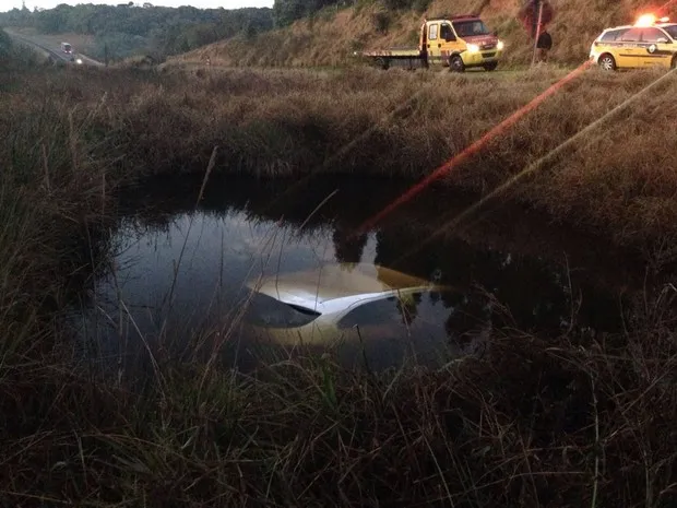 Carro bateu em dois búfalos e caiu em um lago, às margens da rodovia. Foto: Divulgação/PRE