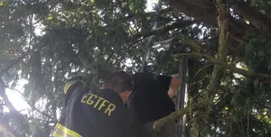Mulher acionou o Corpo de Bombeiros para ajudá-la a descer da árvore. Foto:  East Greenwich Township Fire and Rescue/Facebook