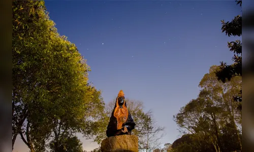Com escultura de santa em nó de pinho, paranaense bate recorde 