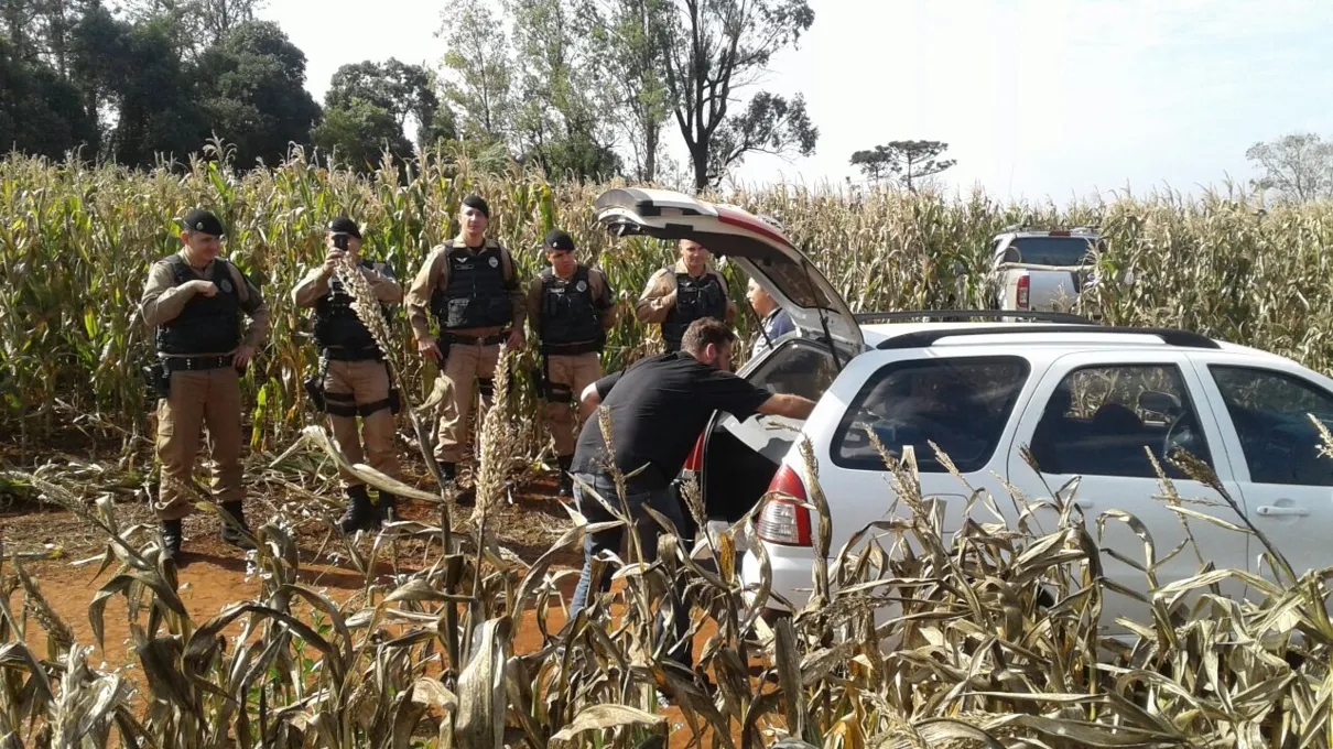 Policiais localizaram os veículos em meio a uma plantação. Foto: WhatsApp