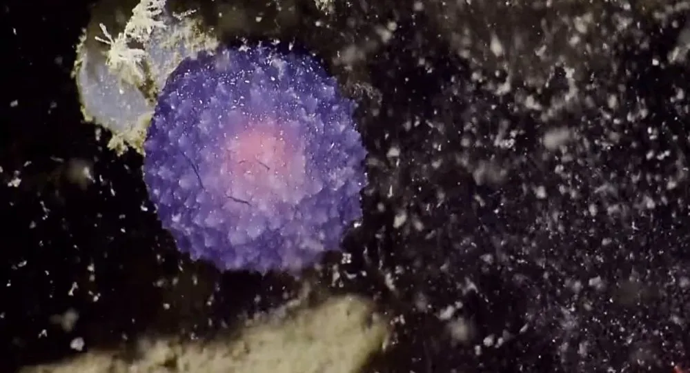 Oceanólogos localizaram no Pacífico uma bola misteriosa do tamanho de alguns centímetros em uma de suas expedições na Costa da Califórnia (EUA) - Imagem -Reprodução/youtube.com