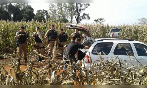 Polícia Militar localiza veículos roubados de empresa em Sabáudia 