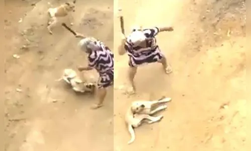 Idosa é presa após ser flagrada espancando cachorro