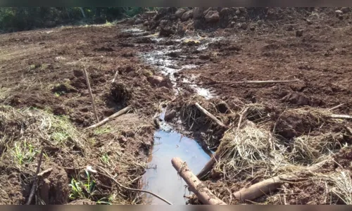 
							Polícia Civil abre inquérito para apurar desmatamento de mata nativa no Norte do PR
						
						