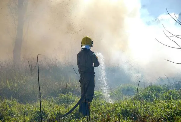 Bombeiros combatem incêndio em área de vegetação. Foto: Sérgio Rodrigo