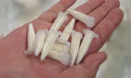 Jovem é presa vendendo cocaína para menina de 12 anos em Arapongas