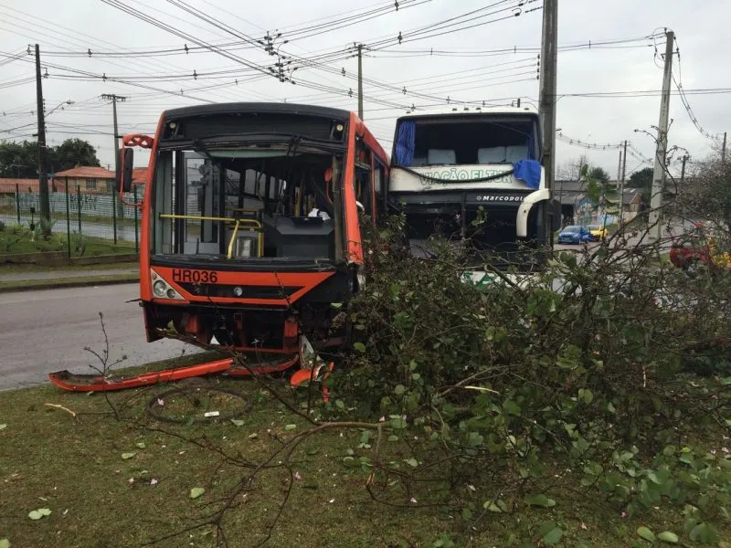 Os ônibus subiram um canteiro que divide a canaleta e derrubaram uma árvore. Foto: Banda B
