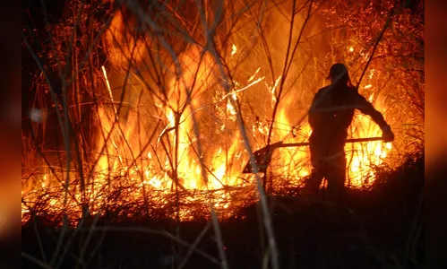 Queimada próximo à Jamel, em Jandaia do Sul, mobiliza Bombeiros