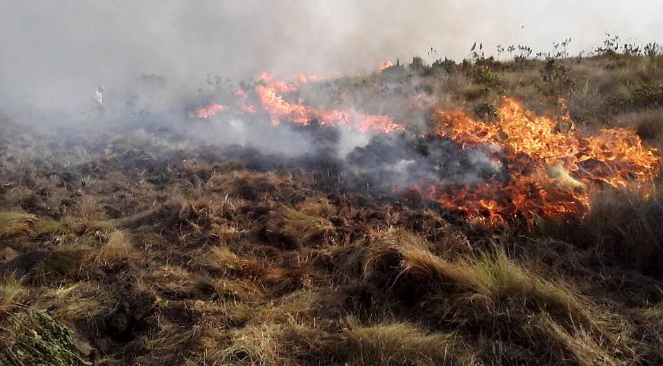 O Corpo de Bombeiros de Apucarana foi acionado nesta sexta-feira (12) para ​combater uma queimada no Parque Ecológico da Raposa - Foto -  TNONLINE
