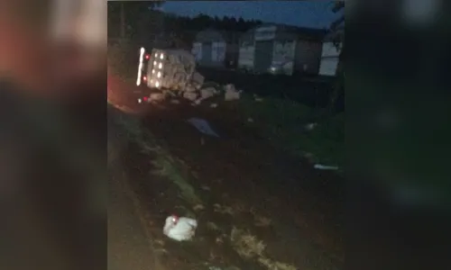 
							Caminhão carregado de frango tomba na PR-444 em Arapongas
						
						