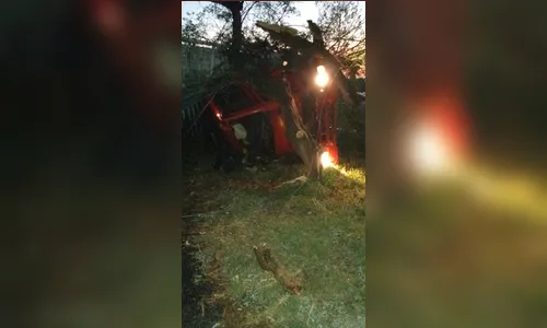 Caminhão carregado de frango tomba na PR-444 em Arapongas