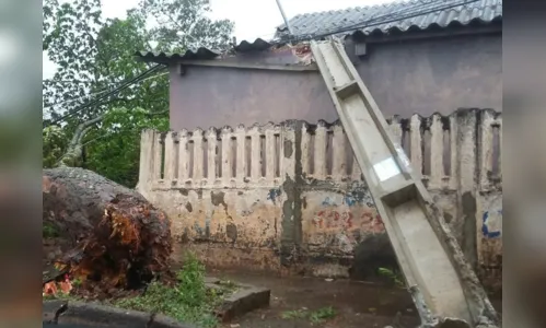 
							Temporal deixa 39 mil imóveis sem energia na região, diz Copel
						
						