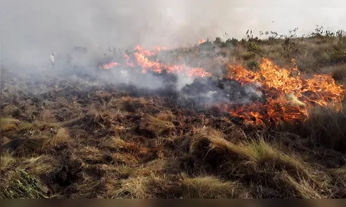 Bombeiros de Arapongas combatem incêndio ambiental na Fazenda do Giocondo