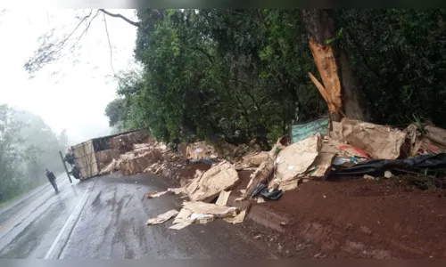 
							Caminhão tomba entre Mauá da Serra e Londrina
						
						