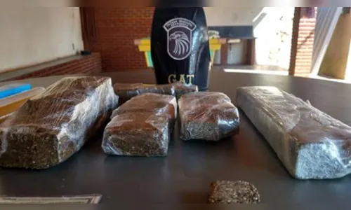 GM apreende 3,5 kg de maconha em Arapongas