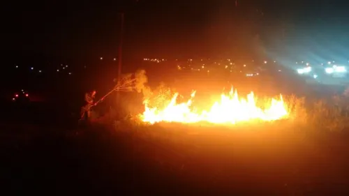 Polícia evitou que fogo se alastrasse para outras áreas. Foto: Polícia Ambiental