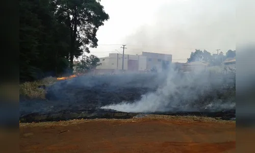 GM de Arapongas alerta sobre a prática de queimadas
