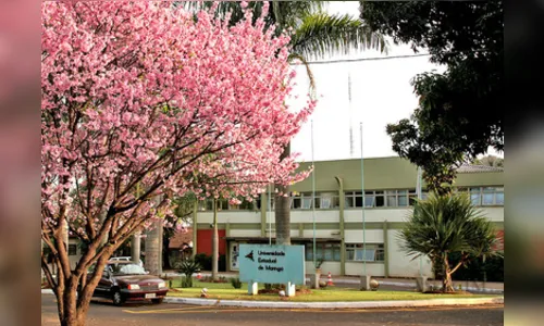 Universidades Estaduais do Paraná estão entre as melhores do Brasil, conforme ranking da Folha