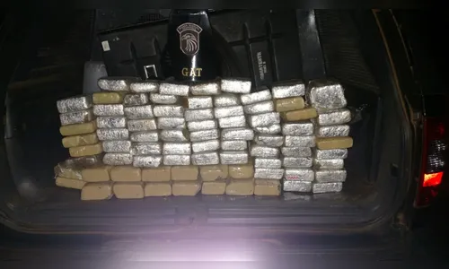 Guarda Municipal apreende quase 61 quilos de maconha em Arapongas