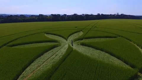 Ufólogo diz que laudo confirma autenticidade do agroglifo. Foto: Reprodução/Facebook/Ademar Gevaerd