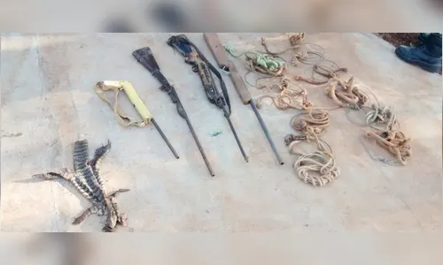 Polícia apreende armas, materiais de caça e carne de animais silvestres 