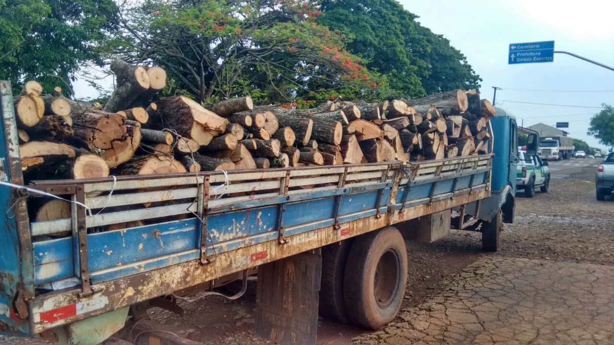 Polícia ambiental ainda localizou um motorista transportando madeira nativa. Foto: Blog do Berimbau 