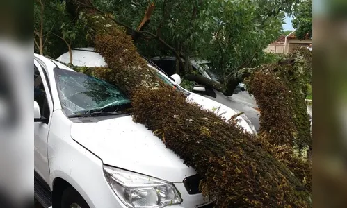 Chuva com vento de 100 km/h causa muitos estragos em Cianorte