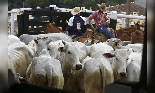 Serviços, agropecuária e administração pública seguem contratando no Paraná