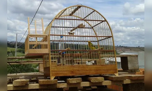 GM apreende armadilha para capturar pássaros em Arapongas