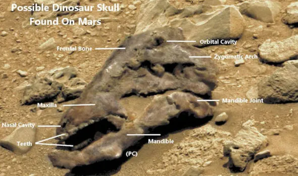 Segundo alguns ufólogos, foto em Marte parece mostrar crânio de um dinossauro - Foto:  Express
