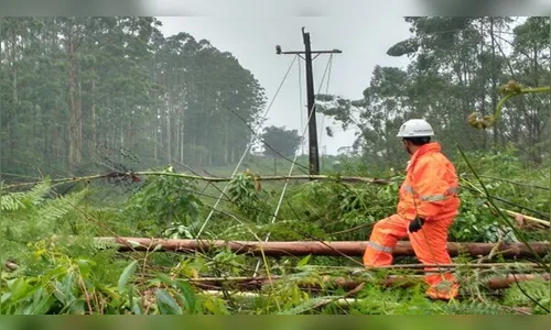 Temporal provoca destruição em Ortigueira; veja vídeo
