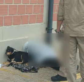 Cachorro não saiu ao lado do corpo do amigo morador de rua -Foto: Minuto Pet