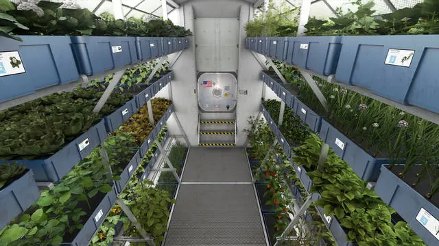 Estufa criada pela NASA possibilita produção de alimentos no espaço - Foto: Divulgação/NASA