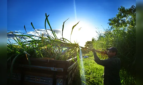 Mesmo com previsão de chuva, temperatura deve continuar alta na região