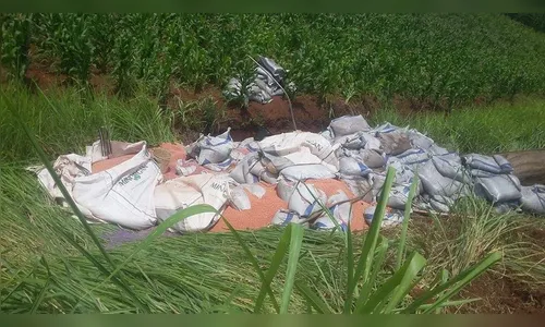 Grupo tenta saquear carga de caminhão tombado e atira contra PM